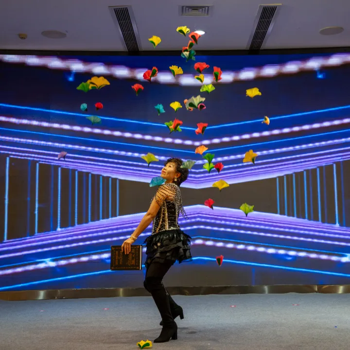 প্রোগ্রামের কর্মক্ষমতা